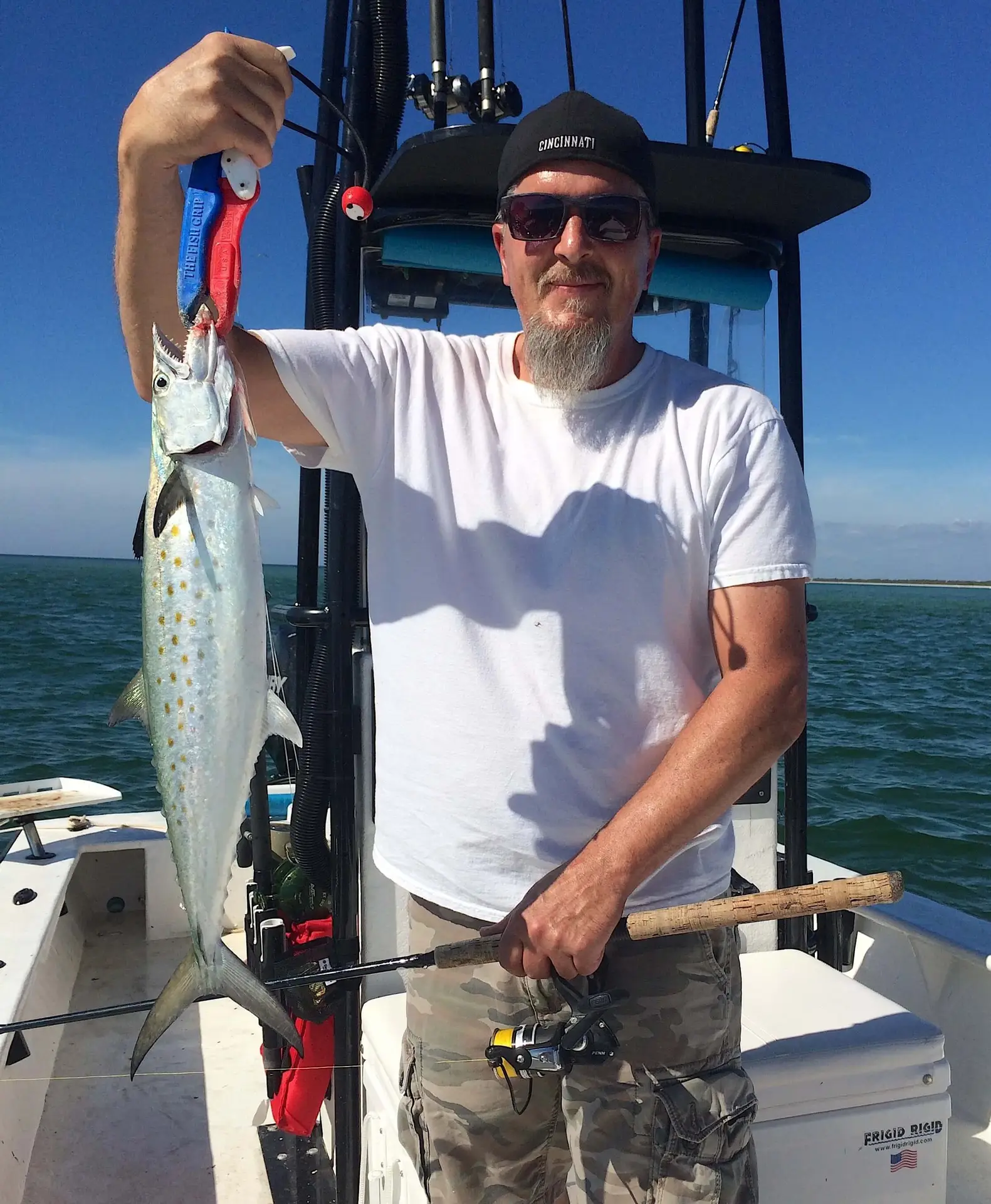 Spanish Mackerel, Catch & Release, Sanibel Fishing & Captiva Fishing, Sanibel Island, Monday, November 13, 2017.