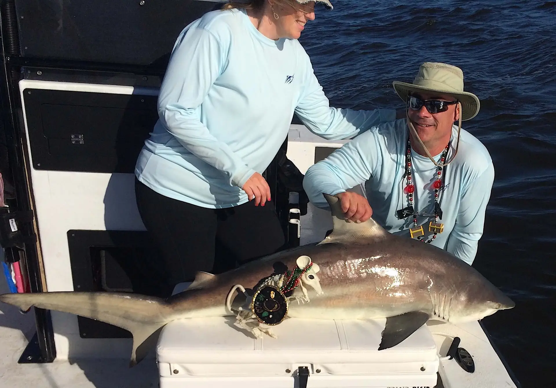 Spinner Shark, Catch & Release, Sanibel Fishing & Captiva Fishing, Sanibel Island, Wednesday, November 8, 2017.