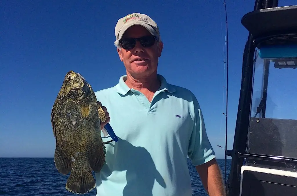 Tripletail, Chuck, Near-Offshore, Catch & Release, Sanibel Fishing & Captiva Fishing, Sanibel Island, Monday, November 6, 2017.