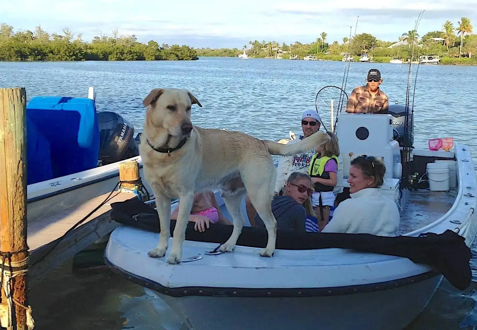 Hank On The Bow.