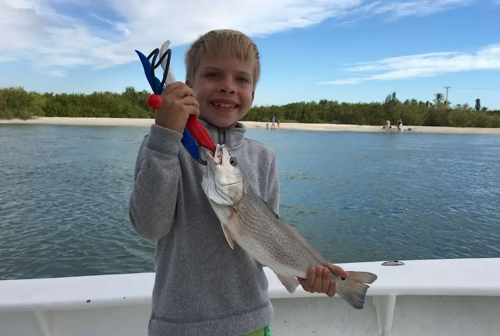 Redfish, Blind Pass, Catch & Release, Sanibel Fishing & Captiva Fishing, Sanibel Island, Thursday, November 30, 2017.