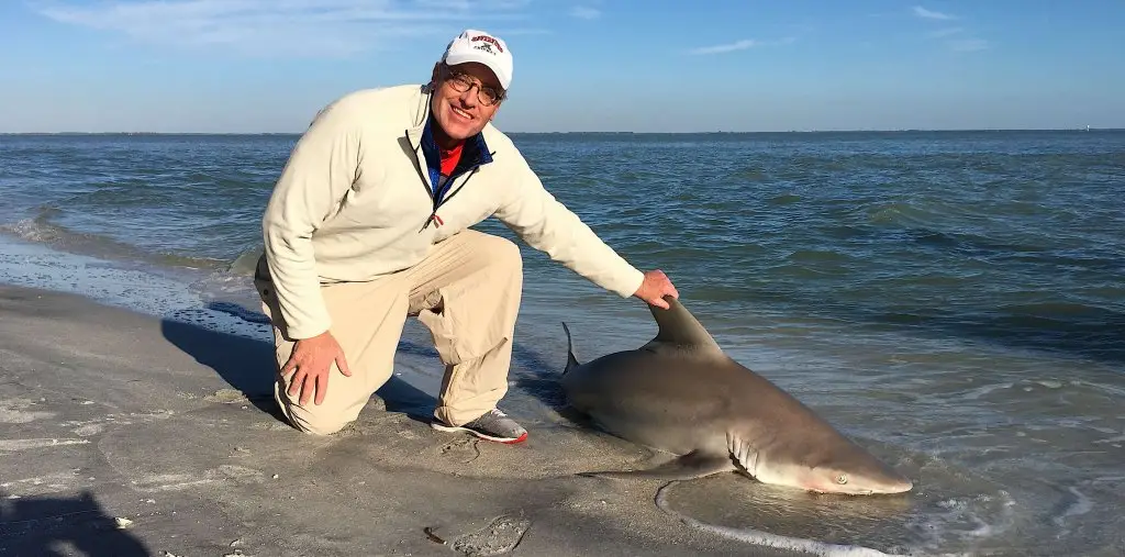 Sandbar Shark, Redfish Pass, Catch & Release, Sanibel Fishing & Captiva Fishing, Sanibel Island, Wednesday, December 13, 2017.