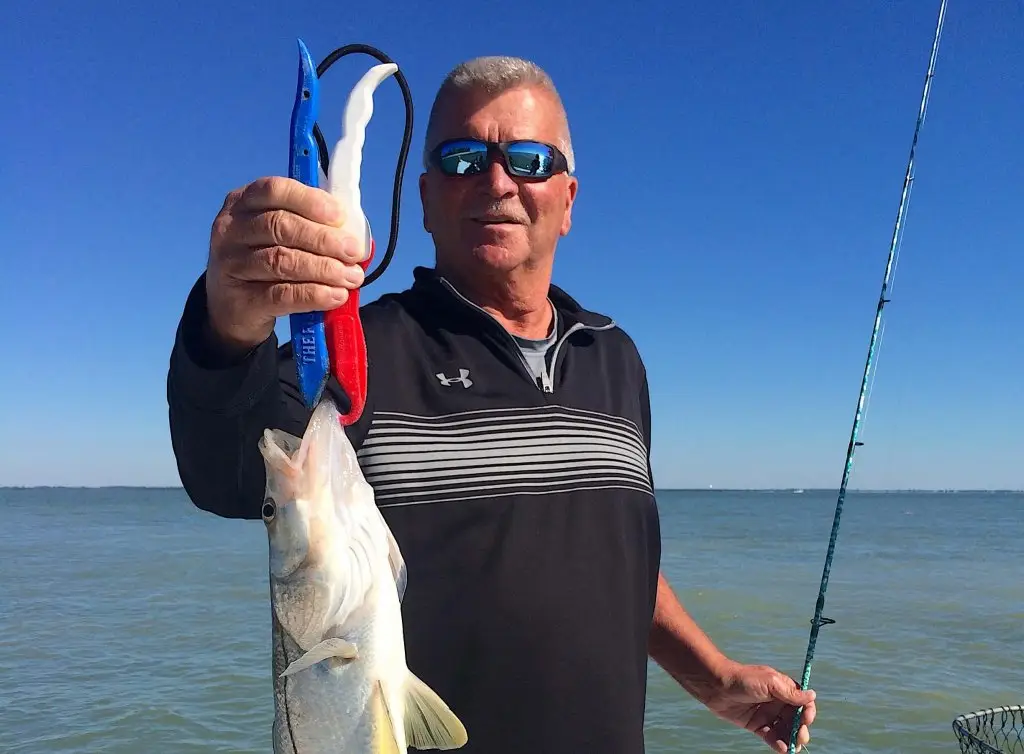 Snook, Inshore, Catch & Release, Sanibel Fishing & Captiva Fishing, Sanibel Island, Tuesday, December 12, 2017.