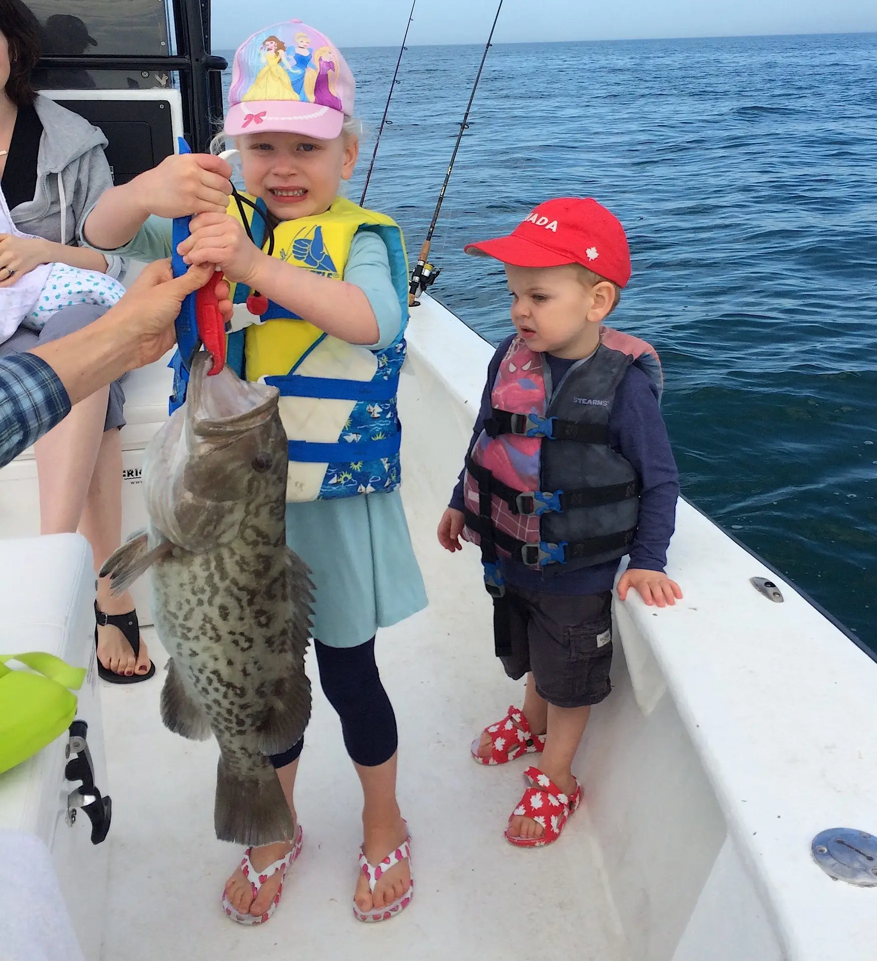 Grouper, Structure, Catch & Release, Sanibel Fishing & Captiva Fishing, Sanibel Island, Wednesday, January 24, 2018.