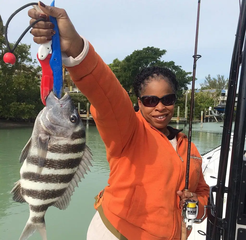 Sheepshead, Very Cold, Structure, Catch & Release, Sanibel Fishing & Captiva Fishing, Sanibel Island, Thursday, January 18, 2018.