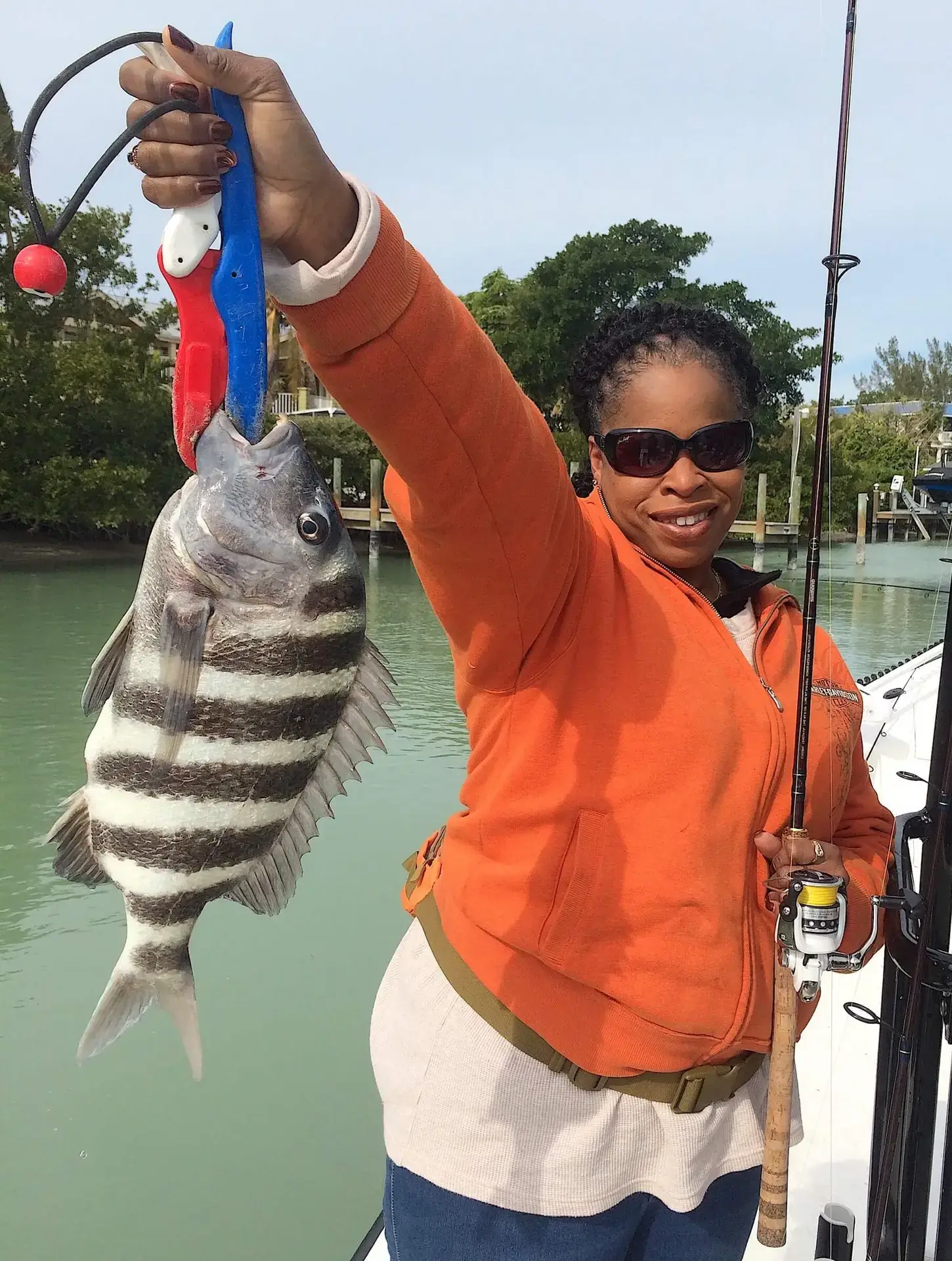 Sheepshead, Very Cold, Structure, Catch & Release, Sanibel Fishing & Captiva Fishing, Sanibel Island, Thursday, January 18, 2018.
