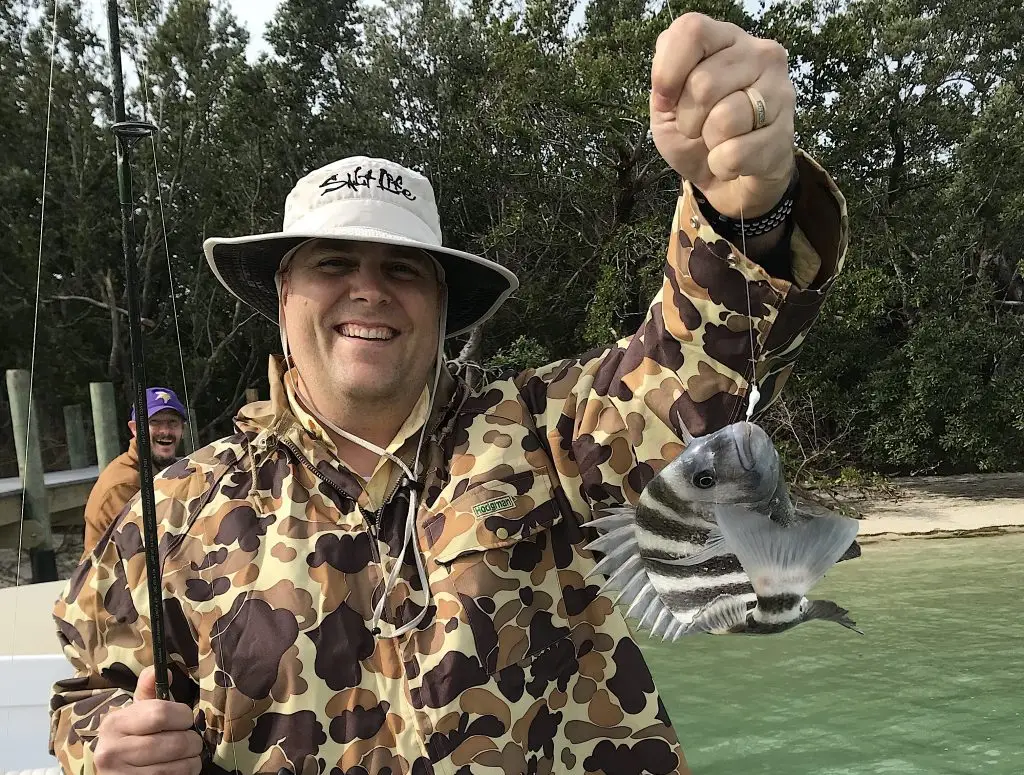 More Sheepshead, Structure, Catch & Release, Sanibel Fishing & Captiva Fishing, Sanibel Island, Sunday, January 28, 2018.