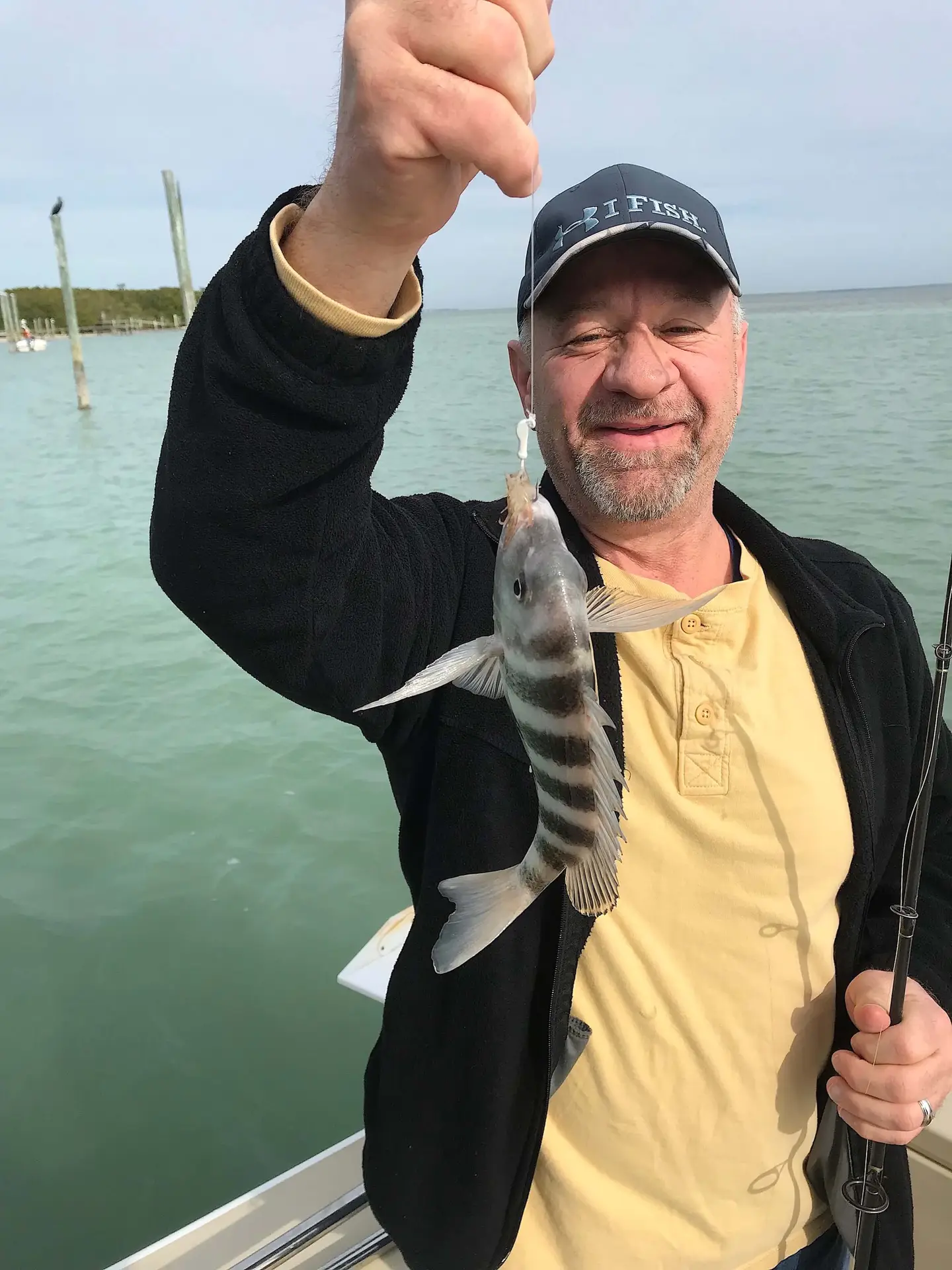 Sheepshead, Still Cold, Hiding In The Passes, Catch & Release, Sanibel Fishing & Captiva Fishing, Sanibel Island, Saturday, January 20, 2018.