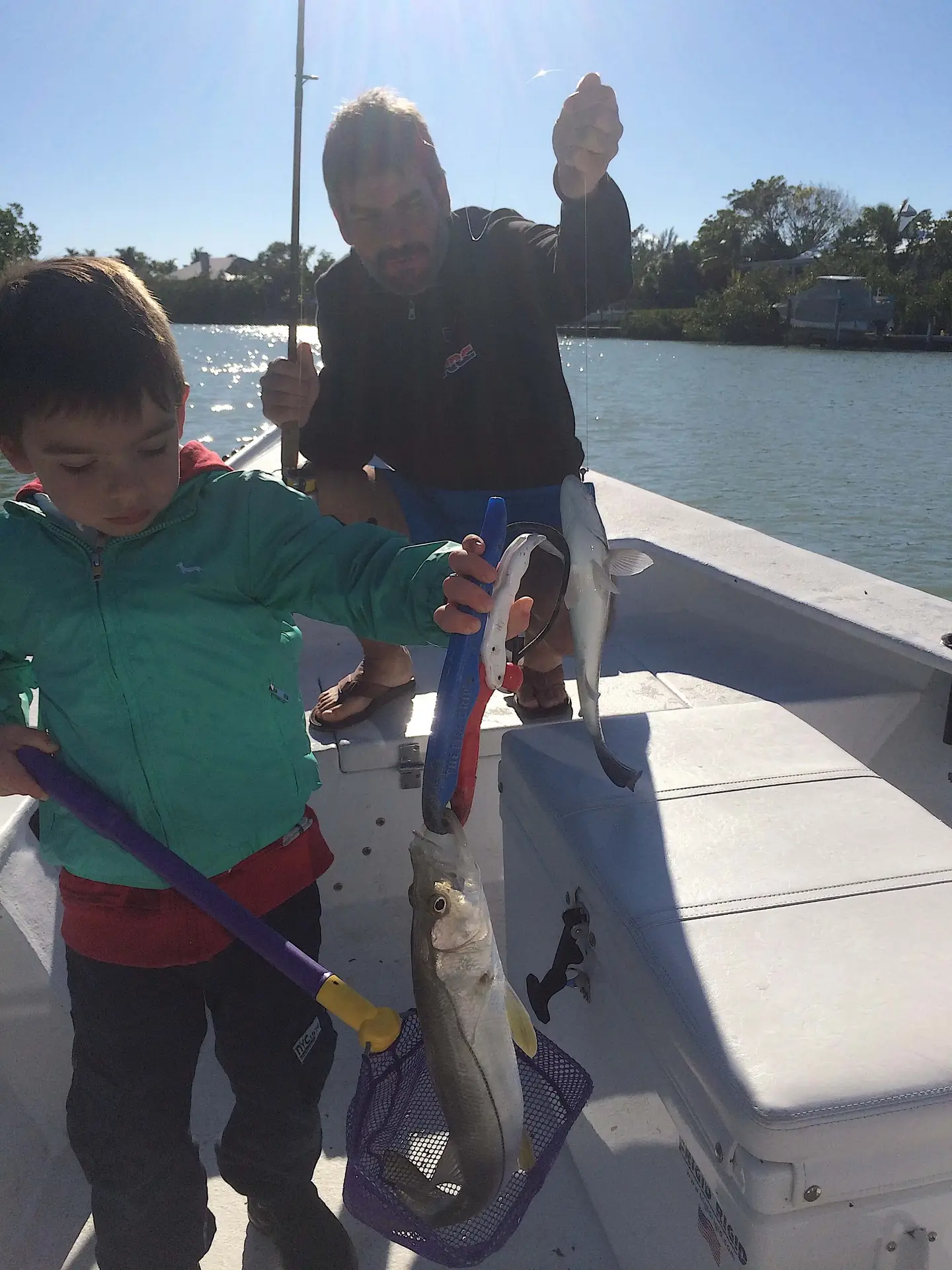 Snook, Still Cold, Hiding In The Mangroves, Catch & Release, Sanibel Fishing & Captiva Fishing, Sanibel Island, Sunday, January 7, 2018.
