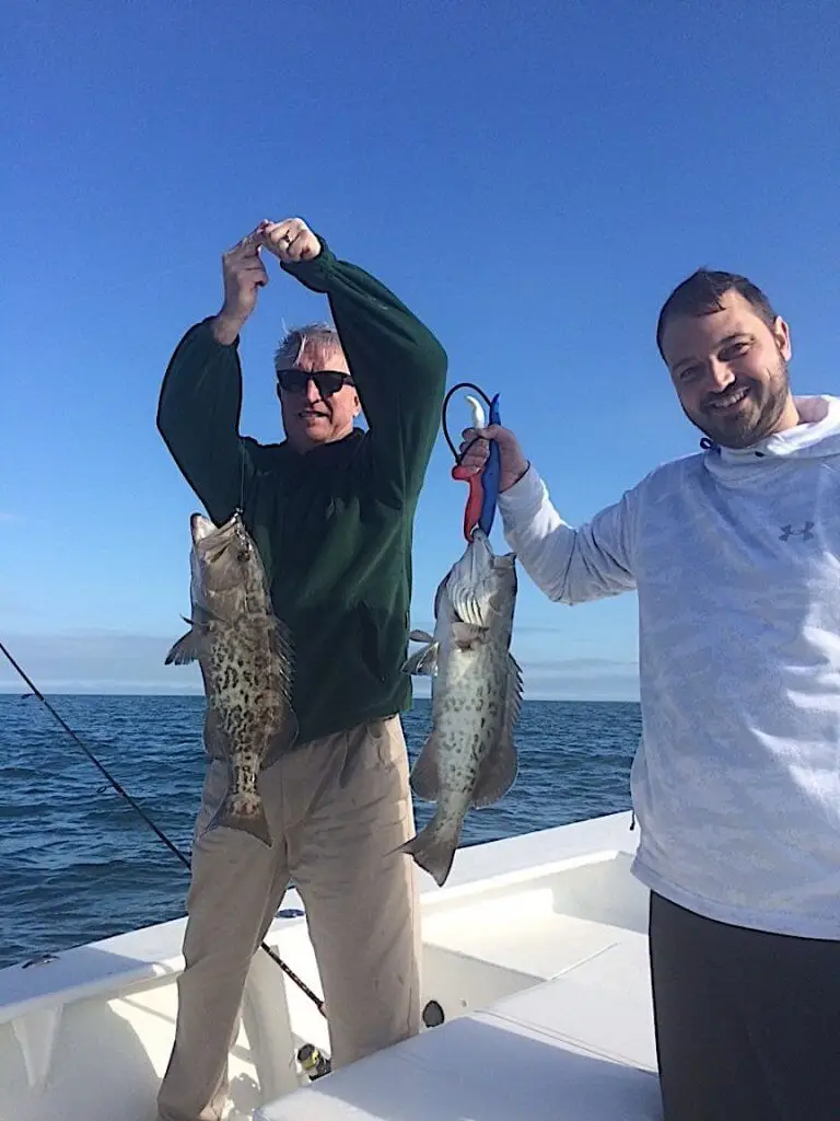 Two Grouper, Very Cold, Catch & Release, Sanibel Fishing & Captiva Fishing, Sanibel Island, Friday, January 20, 2018.
