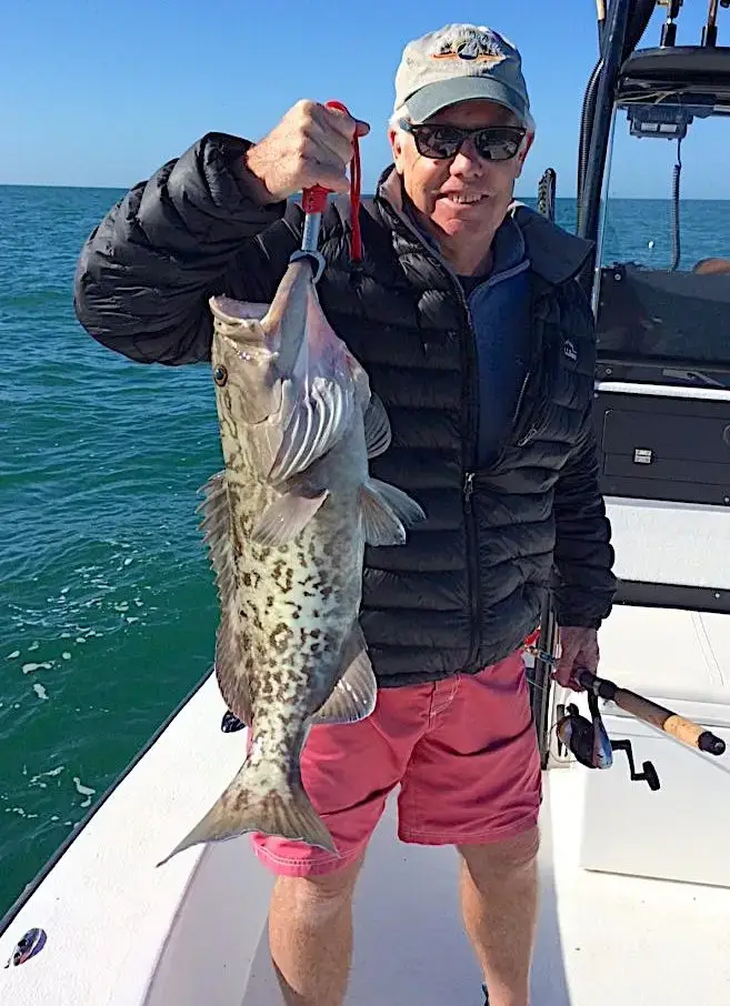 Grouper, Near Offshore Structure, Catch & Release, Sanibel Fishing & Captiva Fishing, Sanibel Island, Thursday, February 1, 2018.