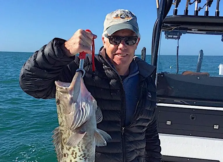 Grouper, Near Offshore Structure, Catch & Release, Sanibel Fishing & Captiva Fishing, Sanibel Island, Thursday, February 1, 2018.