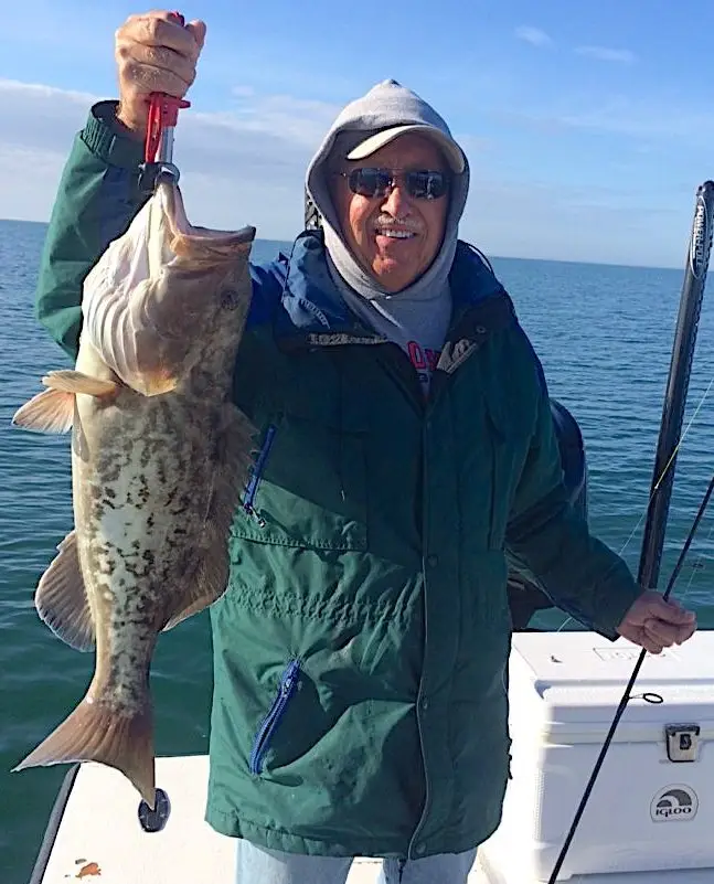 More Grouper, Near Offshore Structure, Catch & Release, Sanibel Fishing & Captiva Fishing, Sanibel Island, Sunday, February 4, 2018.