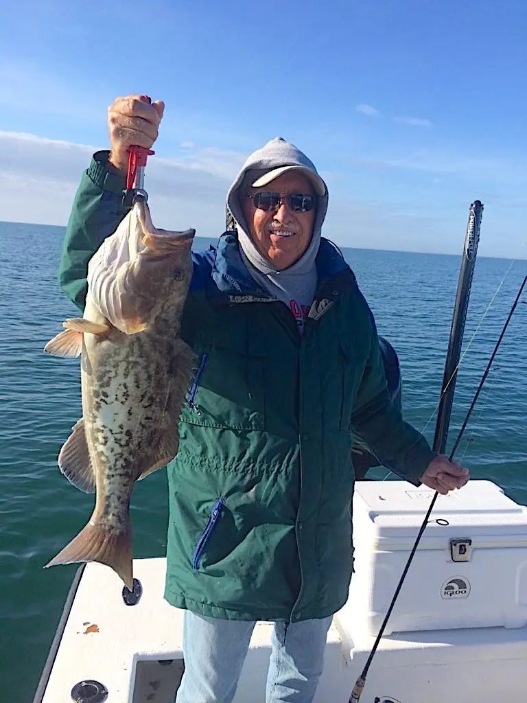 More Grouper, Near Offshore Structure, Catch & Release, Sanibel Fishing & Captiva Fishing, Sanibel Island, Sunday, February 4, 2018.
