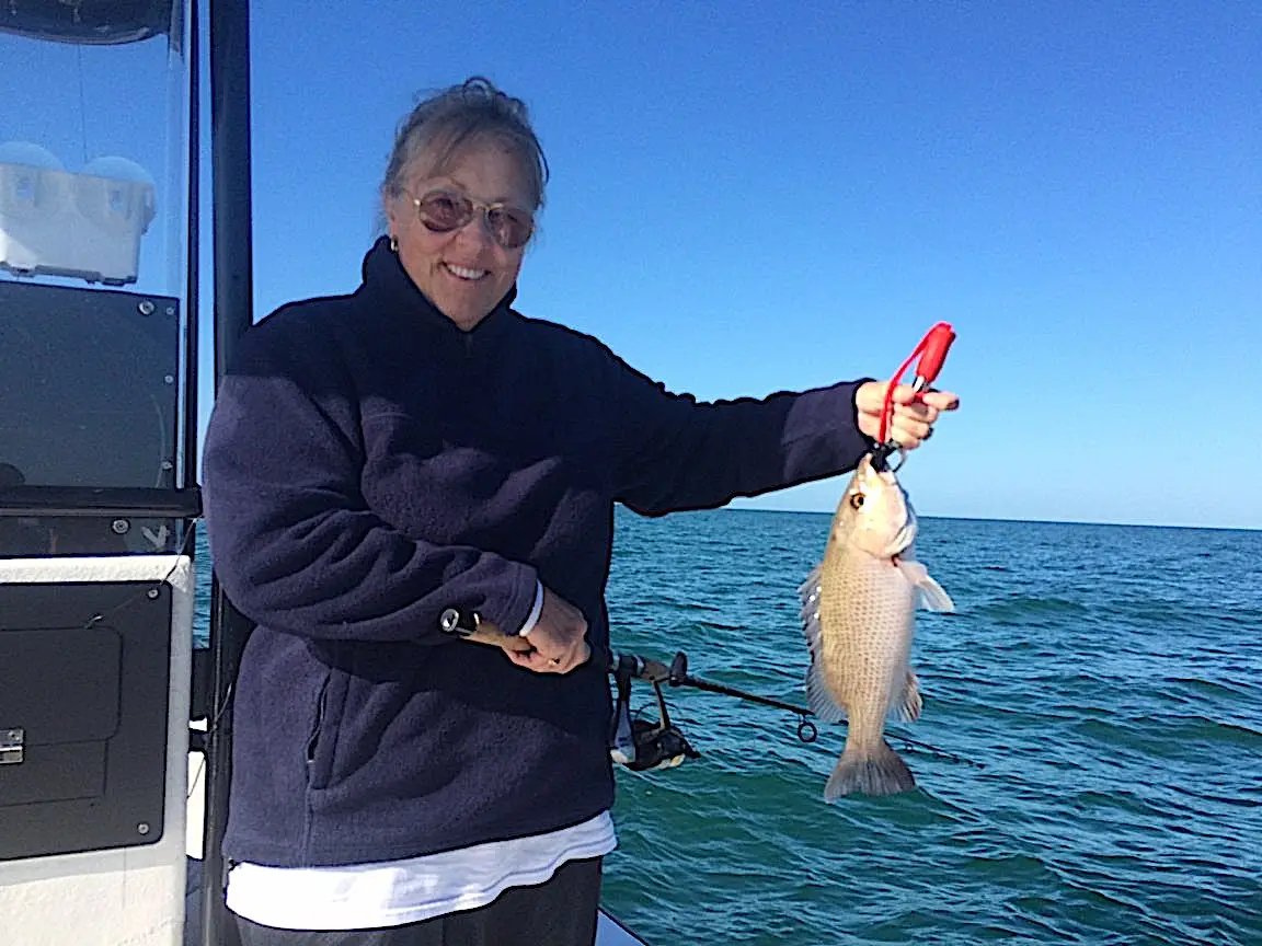 Mangrove Snapper, Near Offshore Structure, Catch & Release, Sanibel Island Fishing Charters & Captiva Island Fishing Charters, Saturday, February 3, 2018.
