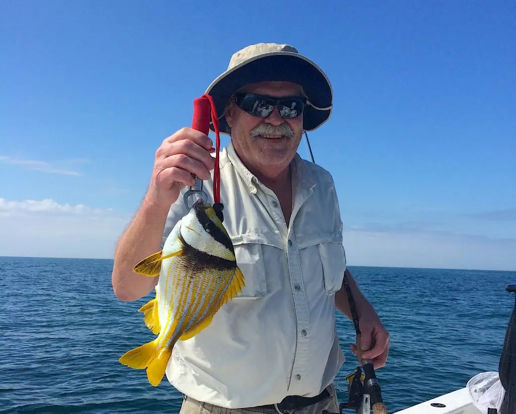 Porkfish, Offshore, Catch & Release, Sanibel Fishing & Captiva Fishing, Sanibel Island, Tuesday, February 6, 2018.