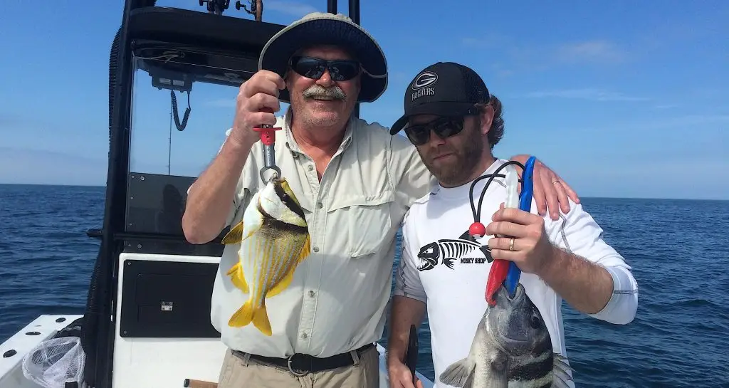 Porkfish & Sheepshead, Offshore, Catch & Release, Sanibel Fishing & Captiva Fishing, Sanibel Island, Wednesday, February 7, 2018.