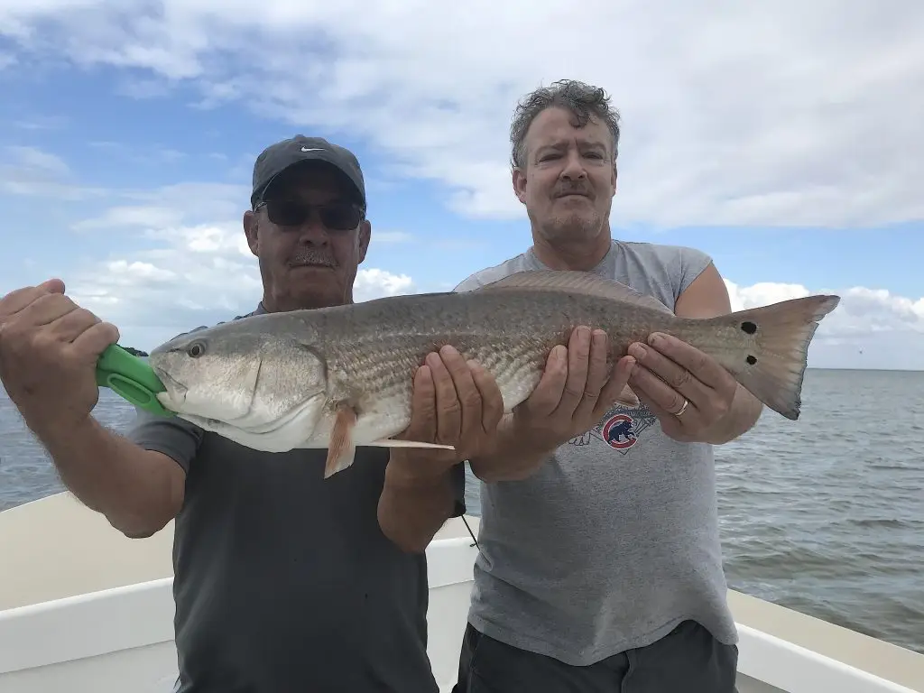 Redfish, Oyster Bars, Catch & Release, Sanibel Fishing & Captiva Fishing, Sanibel Island, Monday, February 19, 2018.