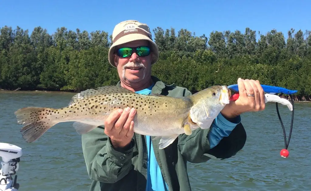 SeaTrout, Grass Beds & Oyster Bars, Catch & Release, Sanibel Island Fishing Charters & Captiva Island Fishing Charters, Sanibel Island, Tuesday, February 20, 2018.
