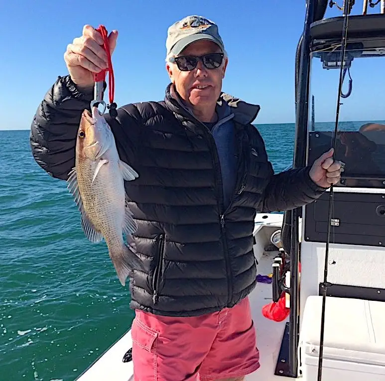 Mangrove Snapper, Near Offshore Structure, Catch & Release, Sanibel Fishing & Captiva Fishing, Sanibel Island, Wednesday, January 31, 2018.