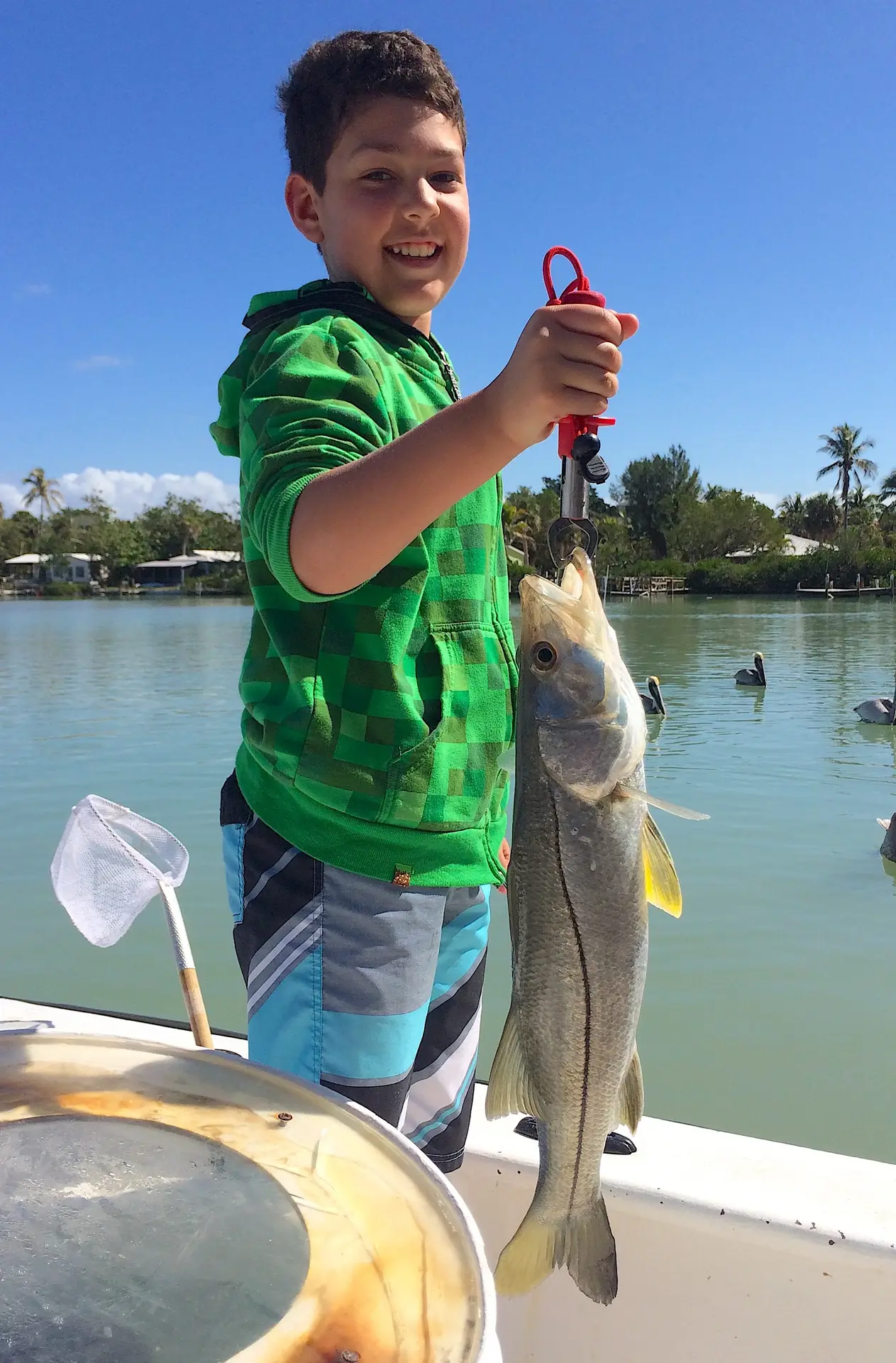 Snook, Passes, Docks,, Catch & Release, Sanibel Fishing & Captiva Fishing, Sanibel Island, Saturday, February 10, 2018.