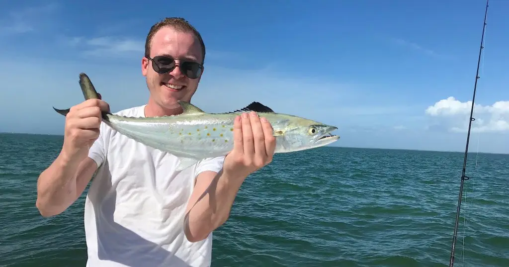 Spanish Mackerel, Inshore, Catch & Release, Sanibel Fishing & Captiva Fishing, Sanibel Island, Tuesday, February 13, 2018.
