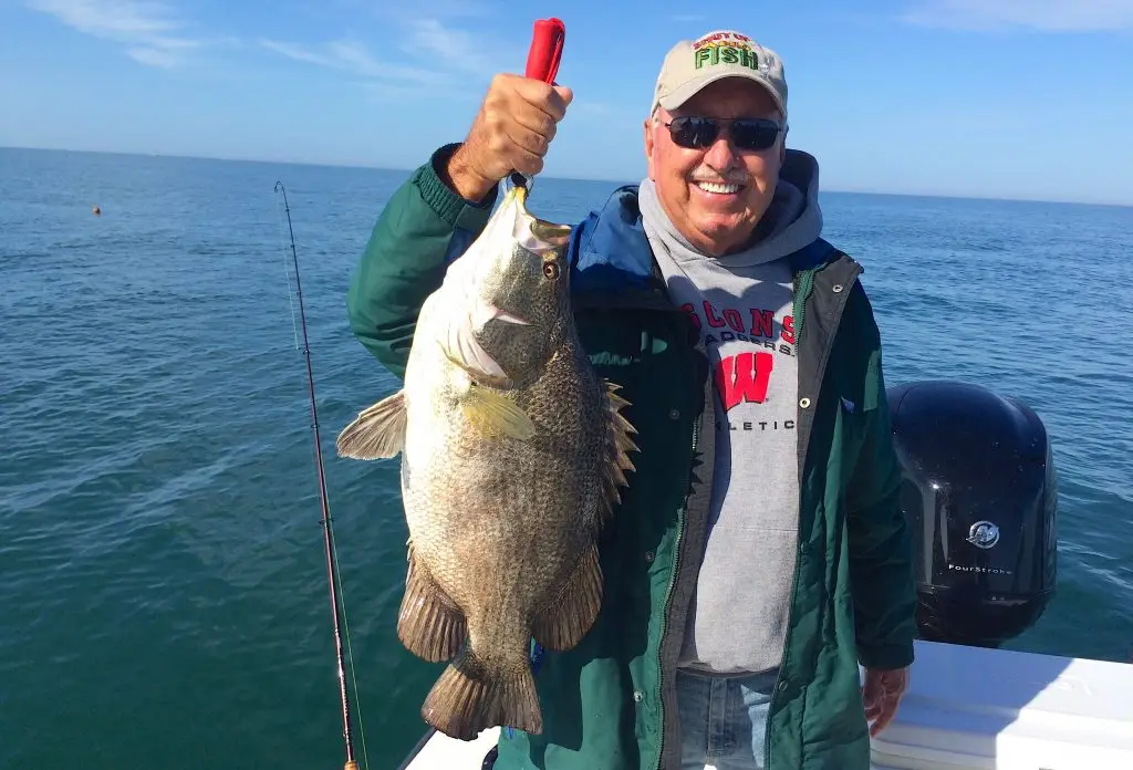 Tripletail, Buoy Line, Catch & Release, Sanibel Island Fishing Charters & Captiva Island Fishing Charters, Friday, February 2, 2018.