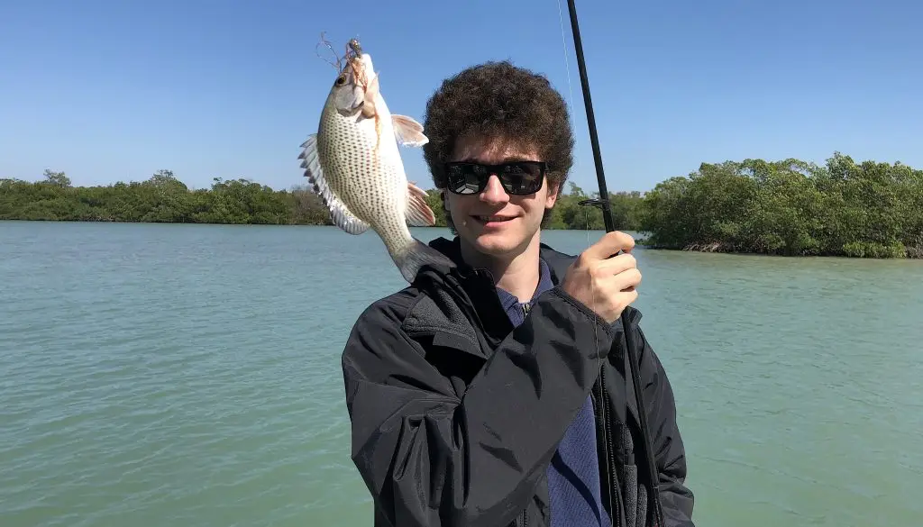 Mangrove Snapper, Catch & Release, Sanibel Island Fishing Charters & Captiva Island Fishing Charters, Sanibel Island, Saturday, March 17, 2018.