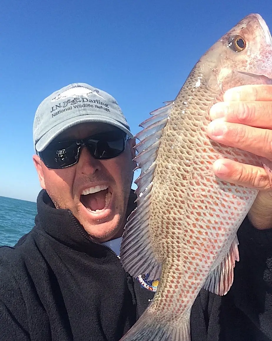 Mangrove Snapper, Jimmy Burnsed, Catch & Release, Sanibel Island Fishing Charters & Captiva Island Fishing Charters, Sanibel Island, Saturday, March 17, 2018.