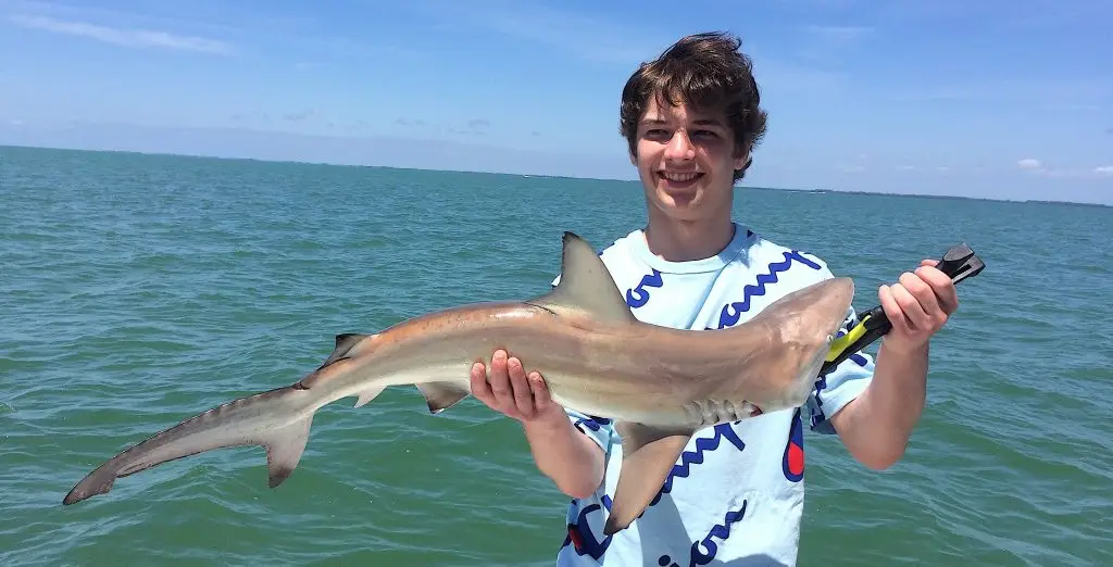 Blacktip Shark, Catch & Release, Sanibel Island Fishing Charters & Captiva Island Fishing Charters, Sanibel Island, Monday, April 23, 2018.