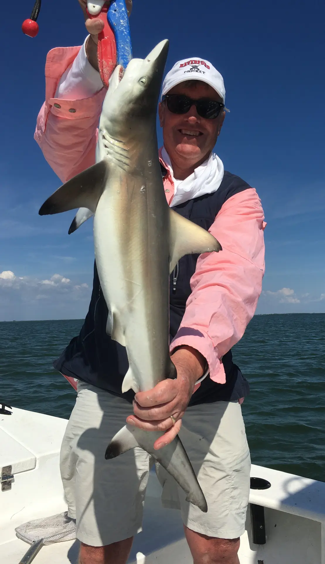 Blacktip Shark, Useppa, Catch & Release, Sanibel Island Fishing Charters & Captiva Island Fishing Charters, Sanibel Island, Monday, April 2, 2018.