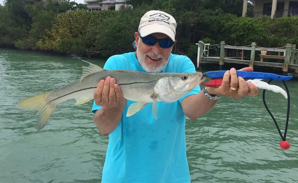 Snook, Catch & Release, Sanibel Island Fishing Charters & Captiva Island Fishing Charters, Sanibel Island, Sunday, April 22, 2018.