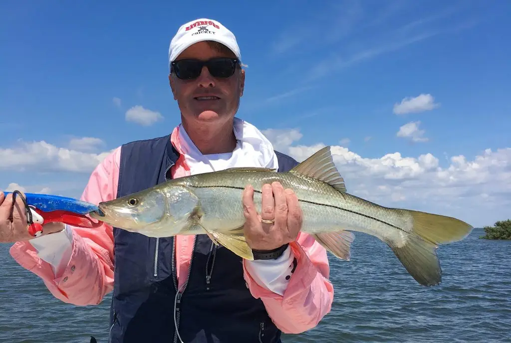 Snook, Catch & Release, Sanibel Island Fishing Charters & Captiva Island Fishing Charters, Sanibel Island, Friday, April 6, 2018.