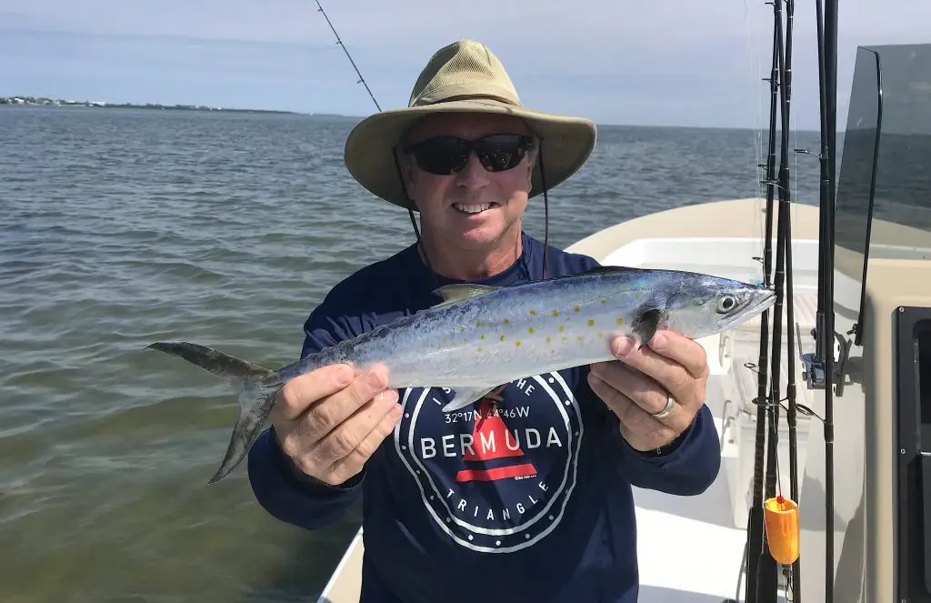 Spanish Mackerel, Catch & Release, Sanibel Island Fishing Charters & Captiva Island Fishing Charters, Sanibel Island, Monday, April 9, 2018.