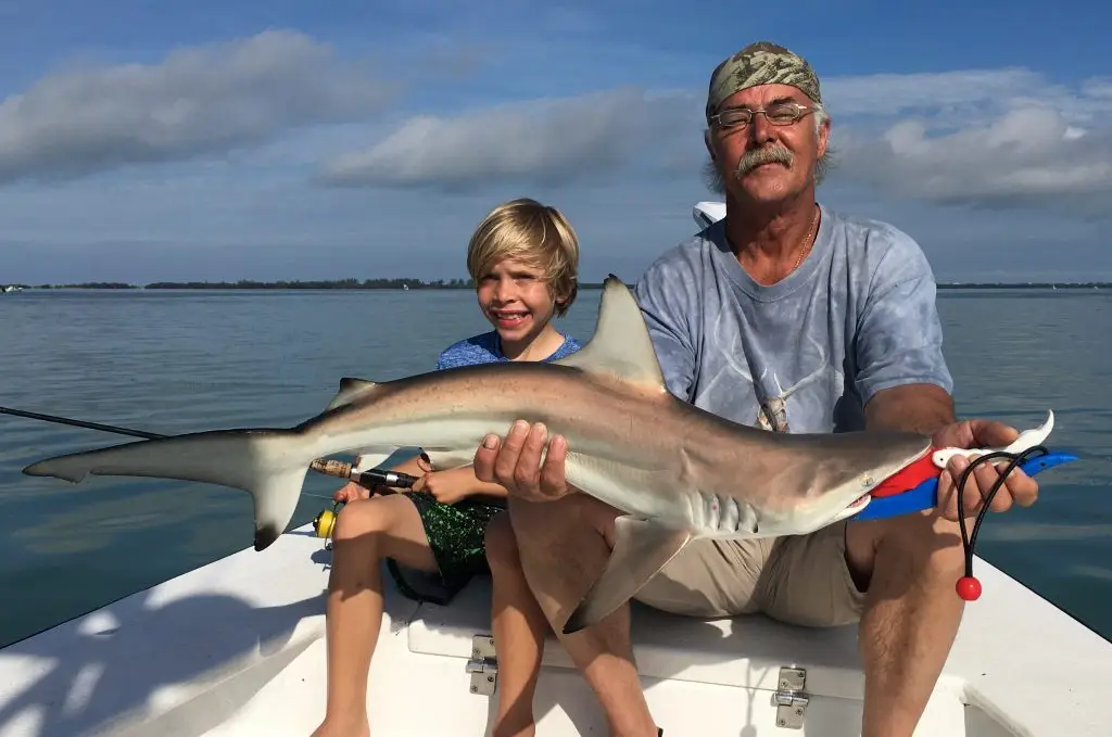 Blacktip Shark, Catch & Release, Sanibel Island Fishing Charters & Captiva Island Fishing Charters, Sanibel Island, Monday, May 7, 2018.