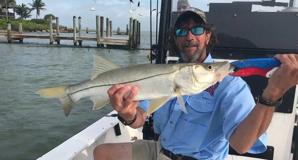 Snook, Catch & Release, Sanibel Island Fishing Charters & Captiva Island Fishing Charters, Sanibel Island, Thursday, May 31, 2018.