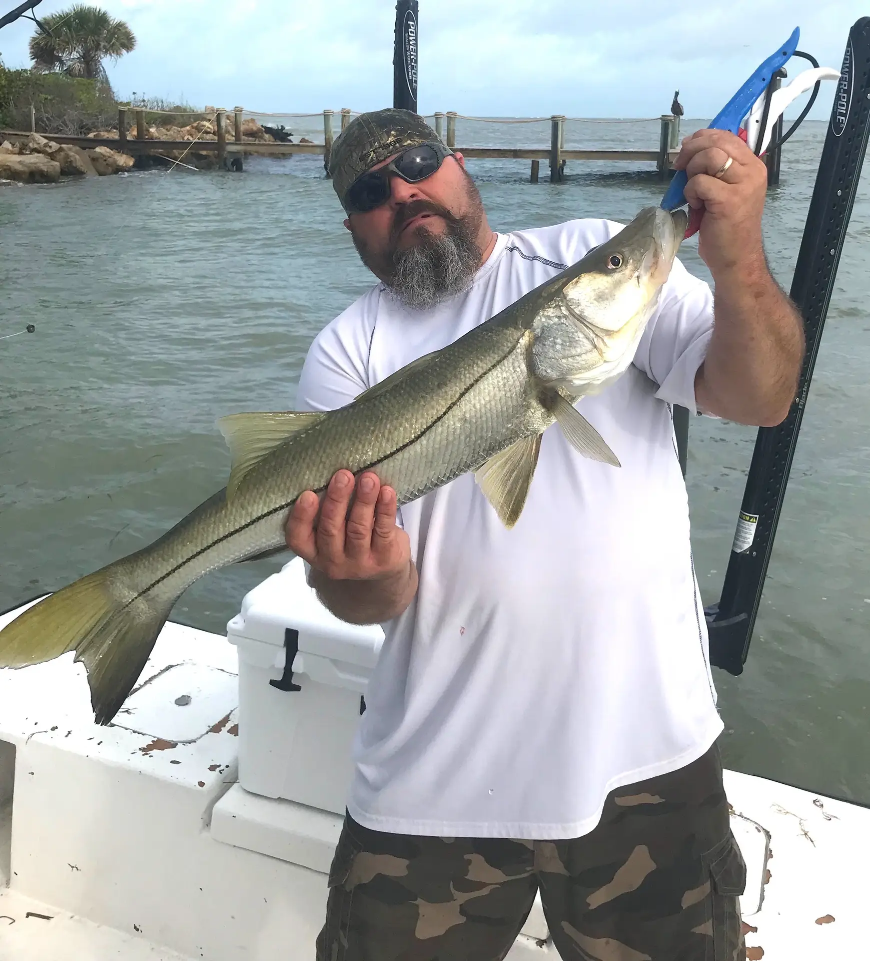 Snook, Catch & Release, Sanibel Island Fishing Charters & Captiva Island Fishing Charters, Sanibel Island, Wednesday, May 30, 2018.