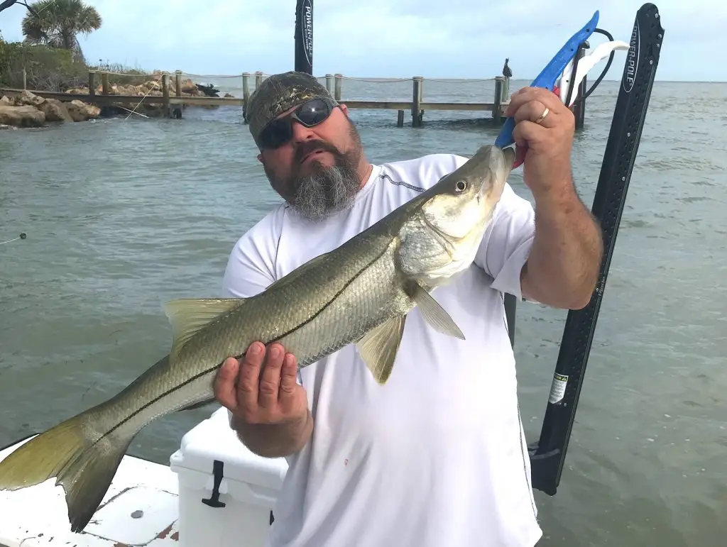 Snook, Catch & Release, Sanibel Island Fishing Charters & Captiva Island Fishing Charters, Sanibel Island, Wednesday, May 30, 2018.