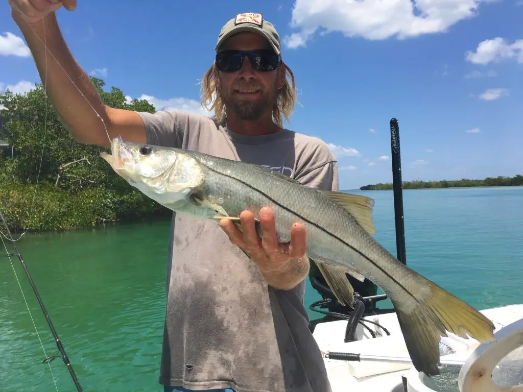 Snook, Catch & Release, Sanibel Island Fishing Charters & Captiva Island Fishing Charters, Sanibel Island, Monday, May 21, 2018.