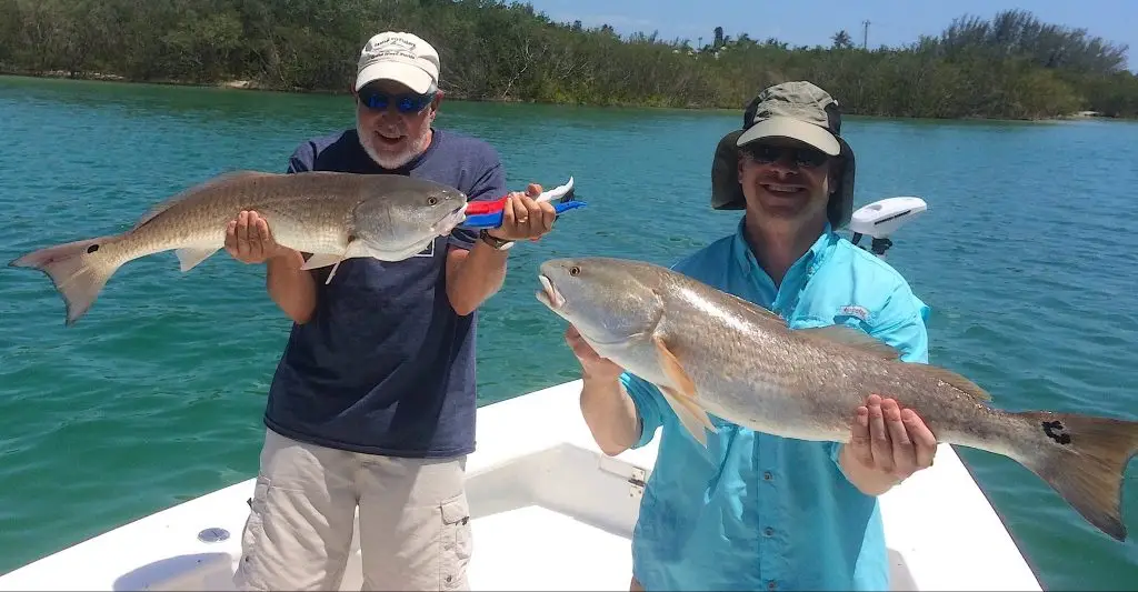Two Redfish, Catch & Release, Sanibel Island Fishing Charters & Captiva Island Fishing Charters, Sanibel Island, Thursday, May 3, 2018.