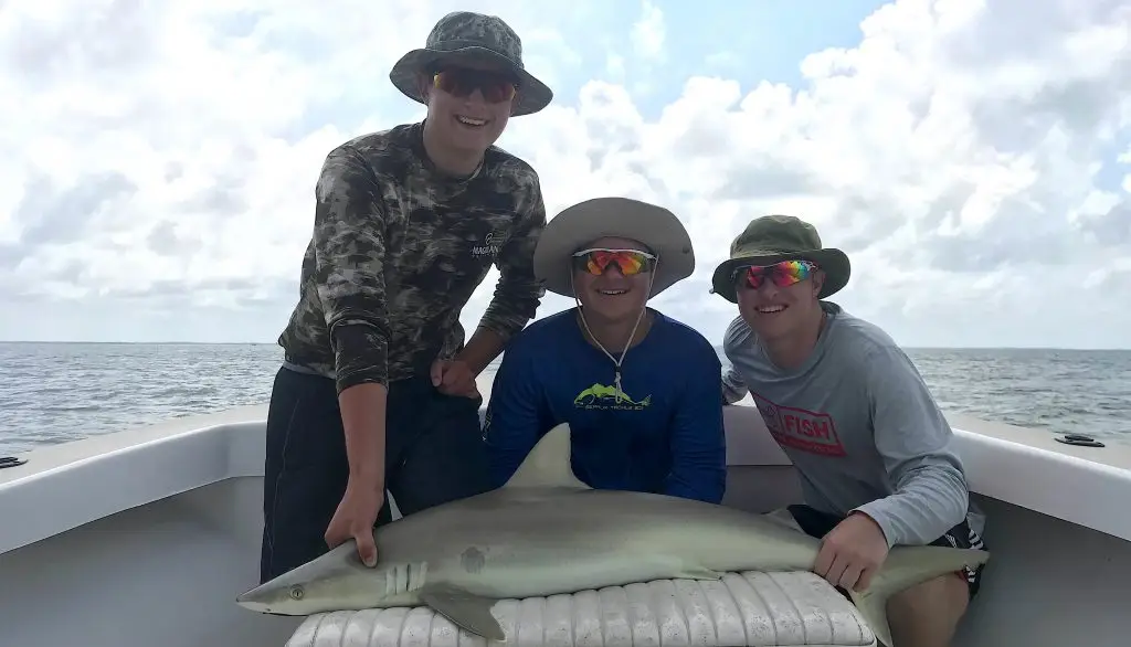 Blacknose Shark, Catch & Release, Sanibel Island Fishing Charters & Captiva Island Fishing Charters, Sanibel Island, Saturday, June 9, 2018.