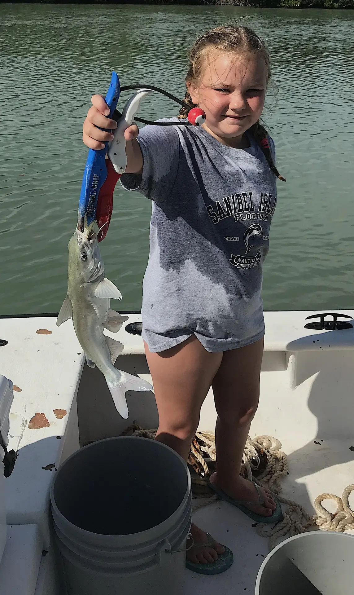 Gafftopsail Catfish, Catch & Release, Sanibel Island Fishing Charters & Captiva Island Fishing Charters, Sanibel Island, Sunday, June 10, 2018.