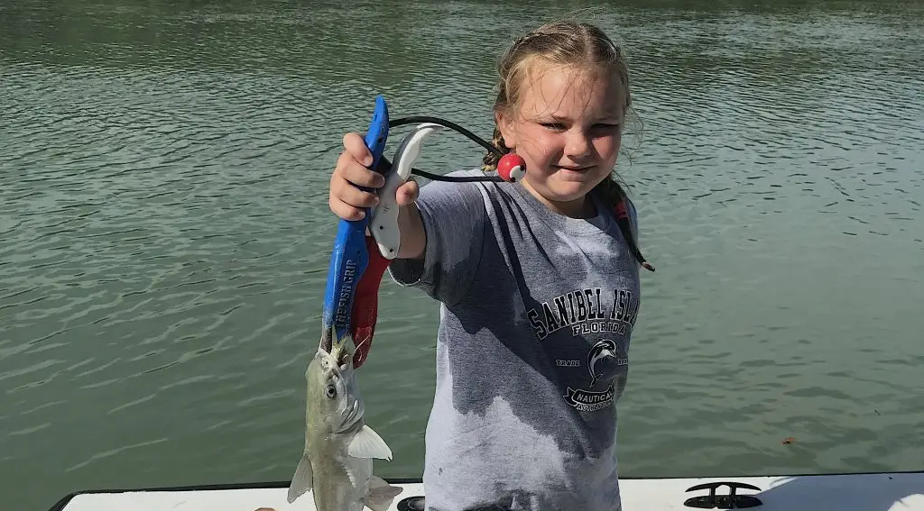 Gafftopsail Catfish, Catch & Release, Sanibel Island Fishing Charters & Captiva Island Fishing Charters, Sanibel Island, Sunday, June 10, 2018.