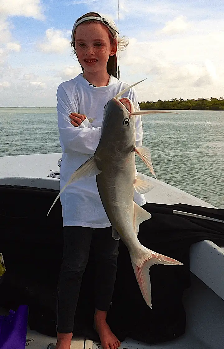 Gafftopsail Catfish, Madeleine, Catch & Release, Sanibel Island Fishing Charters & Captiva Island Fishing Charters, Sanibel Island, February 6, 2013.
