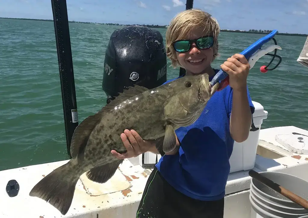 Grouper, Catch & Release, Sanibel Island Fishing Charters & Captiva Island Fishing Charters, Sanibel Island, Wednesday, June 6, 2018.