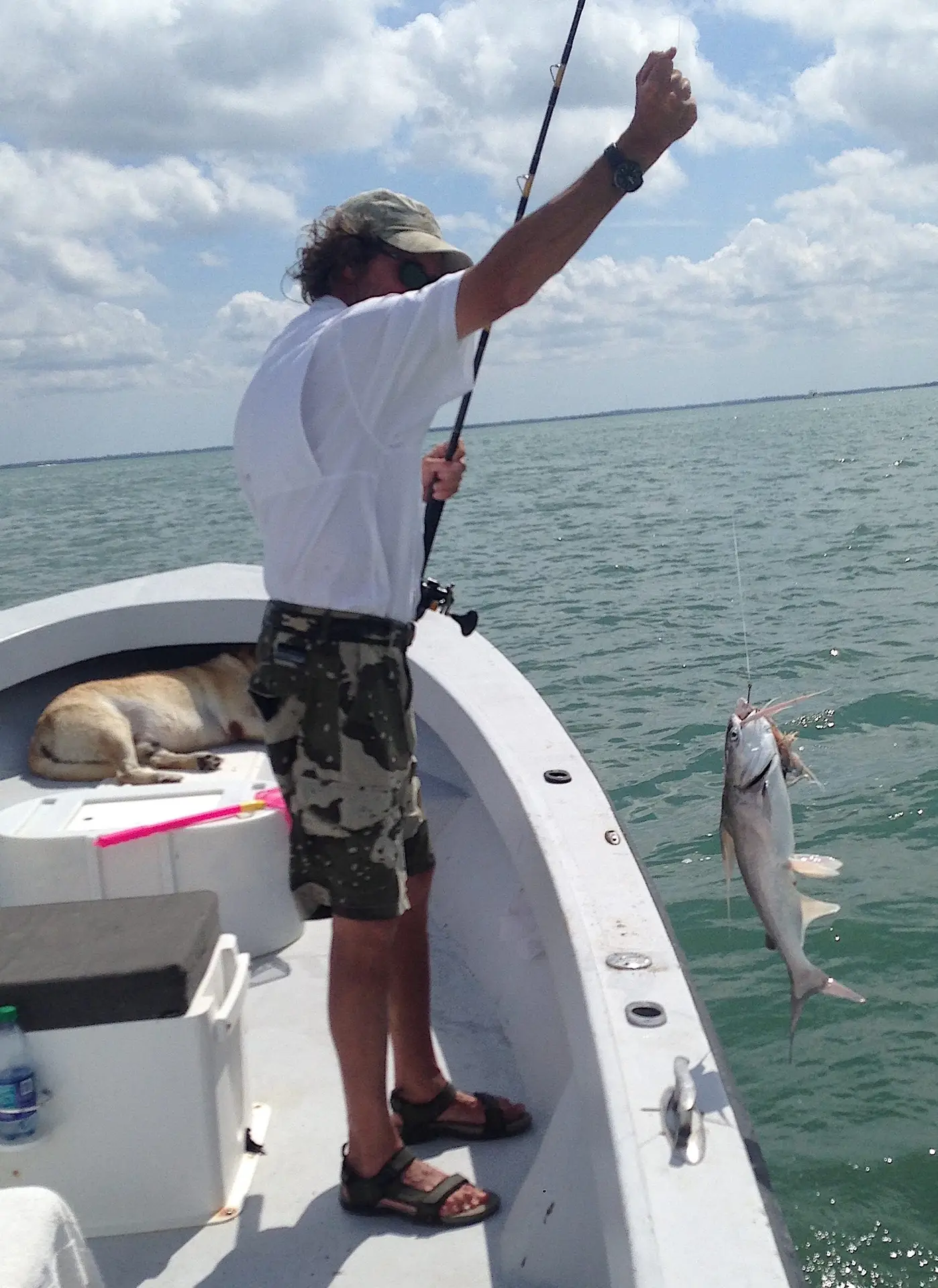 Patrick, Gafftopsail Catfish, Catch & Release, Sanibel Island Fishing Charters & Captiva Island Fishing Charters, Sanibel Island, May 13, 2017.