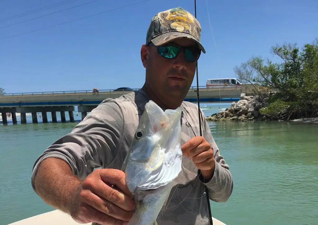 Snook, Catch & Release, Sanibel Island Fishing Charters & Captiva Island Fishing Charters, Sanibel Island, Friday, June 8, 2018.
