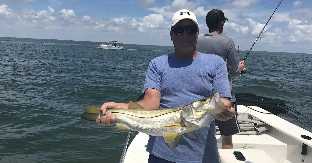 Snook, Redfish Pass, Catch & Release, Sanibel Island Fishing Charters & Captiva Island Fishing Charters, Sanibel Island, Friday, June 22, 2018.