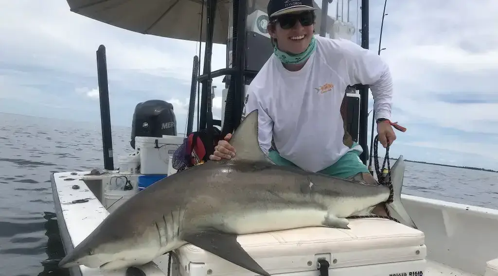 Spinner Shark, Inshore, Catch & Release, Sanibel Fishing & Captiva Fishing, Sanibel Island, Thursday, June 14, 2018.