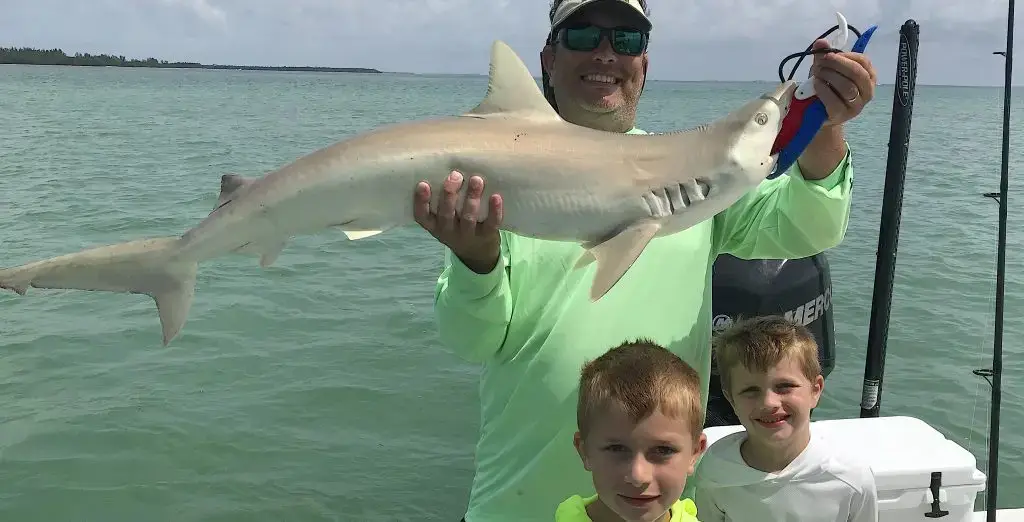 Blacknose Shark, Catch & Release, Sanibel Island Fishing Charters & Captiva Island Fishing Charters, Sanibel Island, Saturday, July 7, 2018.